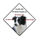 Aufkleber Border Collie0002